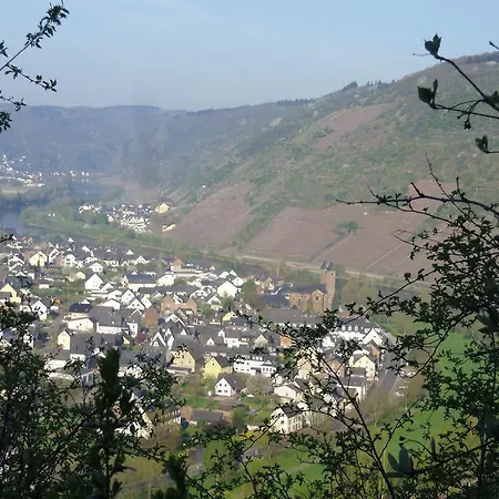 Guest house Haus Schwarzenberg 3*