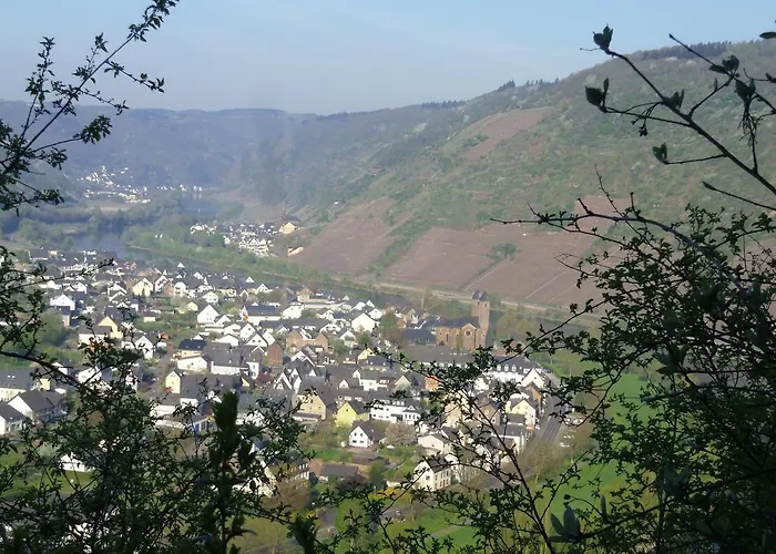 Maison d'hôtes Haus Schwarzenberg 3*